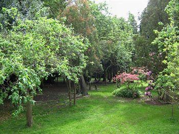 Foxwood Guest House Robin Hood Dış mekan fotoğraf